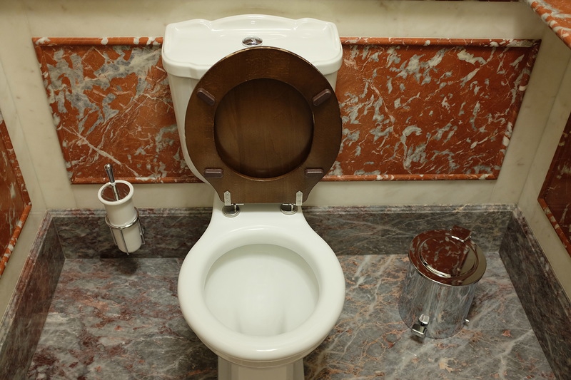 Сколько стоит сходить в туалет в Москве москва, роскошь, туалет