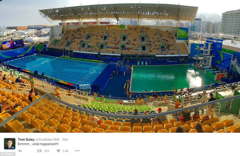 Бассейн на Олимпиаде в Рио вдруг позеленел, и никто не признается Олимпиада 2016, бассейн, коты, плавание, сделай сам