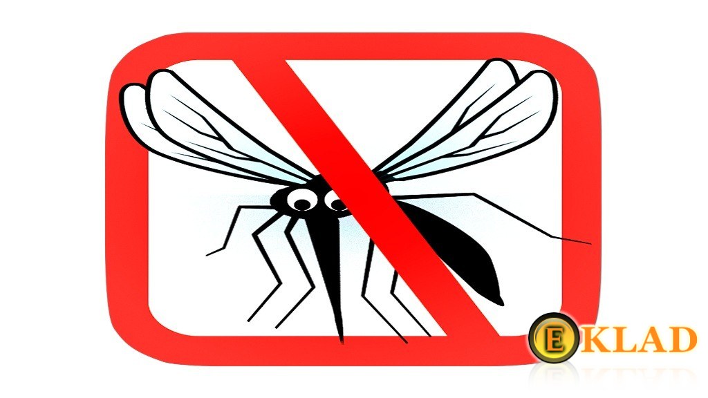 Позаботьтесь о средствах защиты от комаров