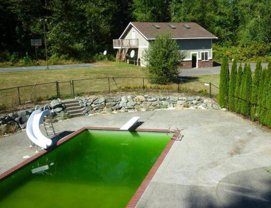 почему позеленела вода в бассейне что делать