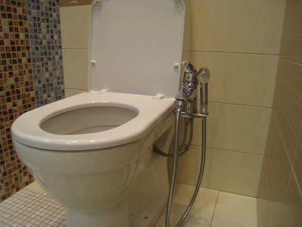 Гигиенический душ относится к сантехническому оборудованию, которое устанавливается в туалете