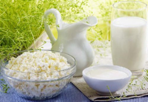 Польза жирных молочных продуктов: мифы и факты