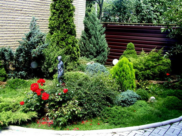 Ландшафтный дизайн с хвойными растениями перед частным домом 1