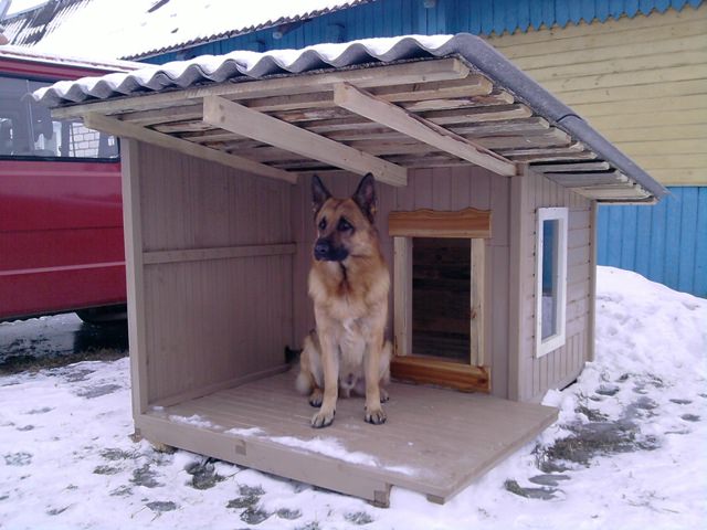 Собачий дом