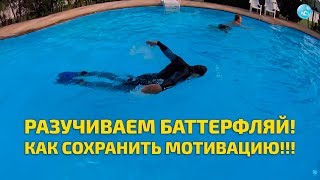 Плавание Баттерфляем: как отточить технику гребка и при этом сохранить силы и мотивацию к обучению!!