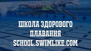 Как и где научиться плавать? Обучение плаванию взрослых в Москве!