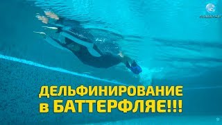 Как научиться плавать баттерфляем?! Основы: работа ног и дельфинирование