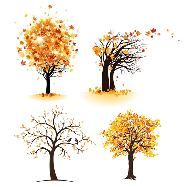 Осеннее дерево набор — стоковый вектор