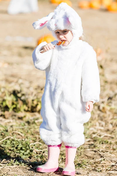 Милый ребенок в костюме Хэллоуина кролика — стоковое фото