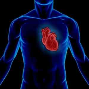 полезные упражнения предупреждающие сердечнососудистые заболевания